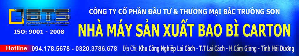 BacTruongSon